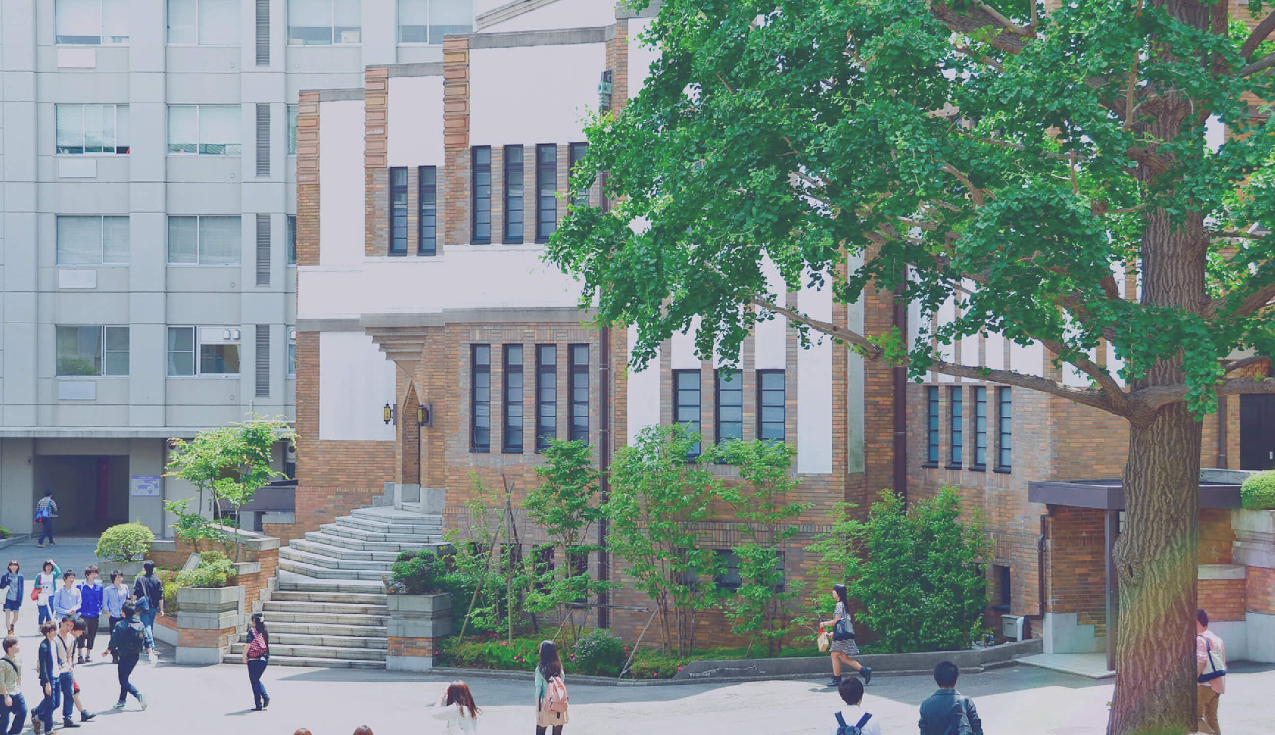 駒澤大学 一般入試対策講座2024